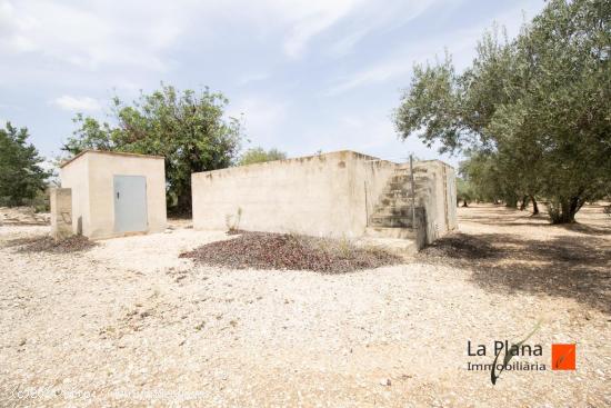 FINCA DE REGADIO EN VENTA EN SANTA BARBARA (TARRAGONA) - TARRAGONA