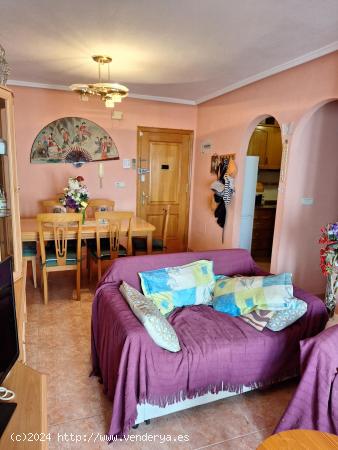  Bonito y Acogedor Apartamento de 2 Dormitorios en Torrevieja - ALICANTE 