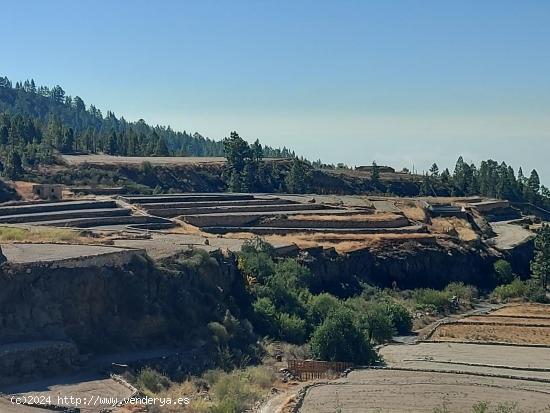 ¡Oportunidad única! Finca de Papas en Vilaflor con Vistas Despejadas y Agua Propia - SANTA CRUZ DE