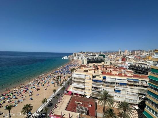  1ª LINEA DE LEVANTE VISTAS AL MAR - ALICANTE 