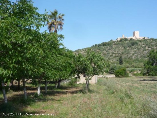 Casa rural en venta  en Ulldecona - Tarragona