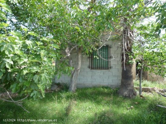 Casa rural en venta  en Ulldecona - Tarragona