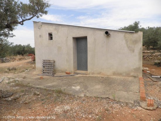 Casa rural en venta  en Ampolla, L - Tarragona