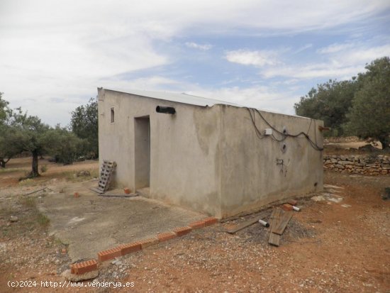 Casa rural en venta  en Ampolla, L - Tarragona