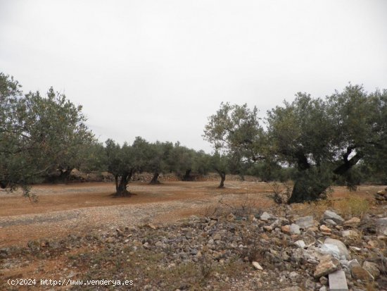 Casa rural en venta  en Ampolla, L - Tarragona