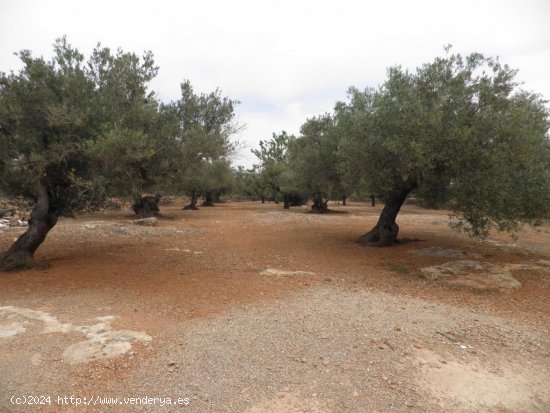 Casa rural en venta  en Ampolla, L - Tarragona