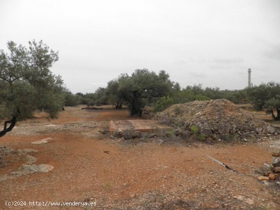 Casa rural en venta  en Ampolla, L - Tarragona