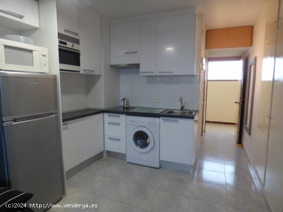 Estudio en venta  en Roses - Girona