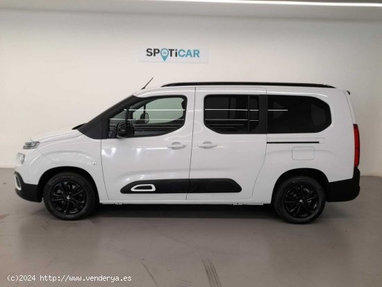 Citroën Berlingo Talla XL ë-Berlingo 50 kWh SHINE - Sabadell