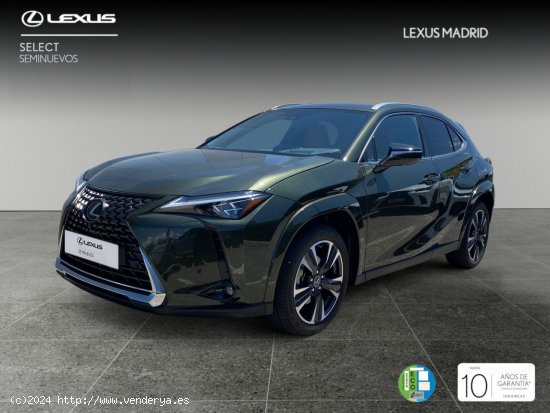 Lexus UX 2.0 250h Luxury - Majadahonda