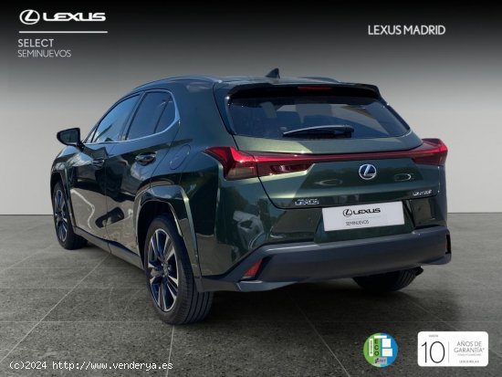 Lexus UX 2.0 250h Luxury - Majadahonda