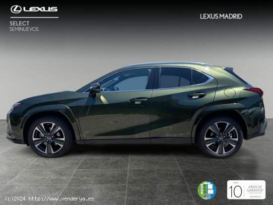 Lexus UX 2.0 250h Luxury - Majadahonda