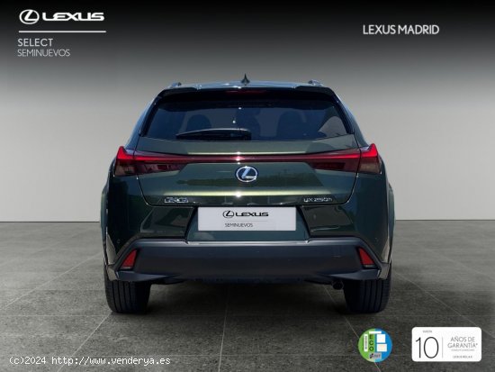 Lexus UX 2.0 250h Luxury - Majadahonda