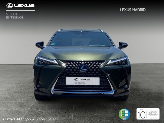 Lexus UX 2.0 250h Luxury - Majadahonda