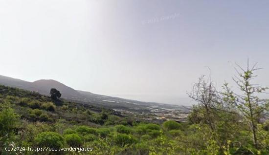 Guia Isora.  Chiguergue: terreno 360 m2 urbano consolidado para construir villa - SANTA CRUZ DE TENE