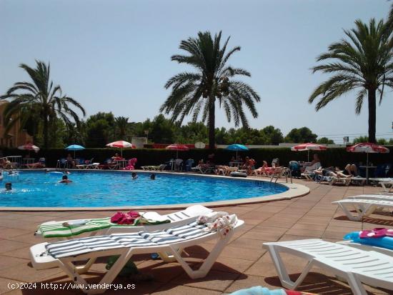 Estudio ubicado en Costa de la Calma - BALEARES