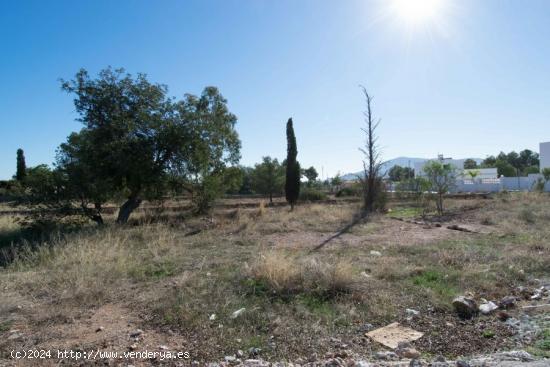 PARCELA LLANA DE 1340M2 SITUADA EN UNA ZONA RESIDENCIAL EN LA NUCIA - ALICANTE