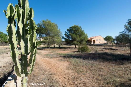 PARCELA LLANA DE 1340M2 SITUADA EN UNA ZONA RESIDENCIAL EN LA NUCIA - ALICANTE