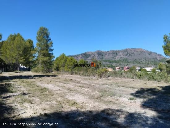 PARCELA RÚSTICA EN BIXQUERT...NATURALEZA Y TRANQUILIDAD - VALENCIA