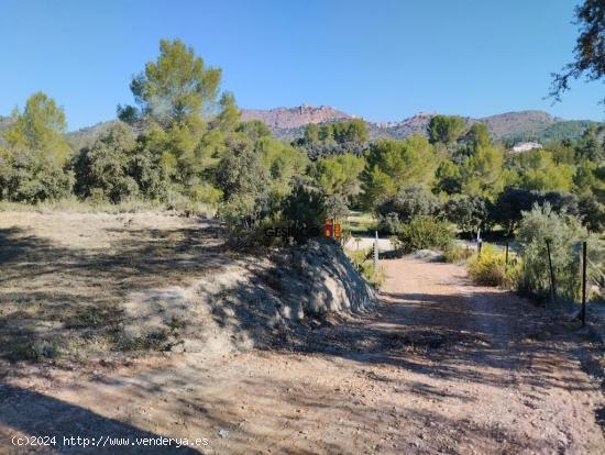 PARCELA RÚSTICA EN BIXQUERT...NATURALEZA Y TRANQUILIDAD - VALENCIA