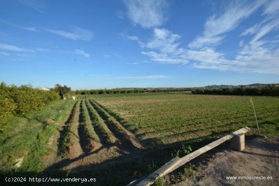  Terreno rústico en la pedanía de Molins en Orihuela, 4.400 m2. de superficie. - ALICANTE 