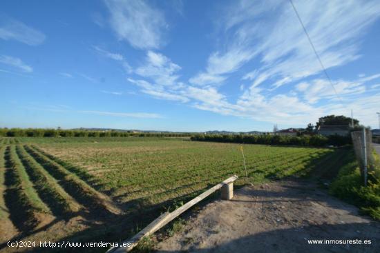 Terreno rústico en la pedanía de Molins en Orihuela, 4.400 m2. de superficie. - ALICANTE