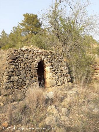 Terreno Agrario - TARRAGONA