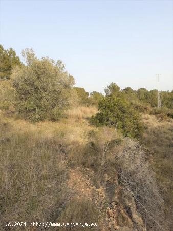 Terreno Agrario - TARRAGONA