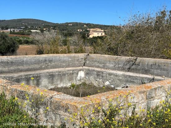 GRAN FINCA RUSTICA CON CASA TIPICA MALLORQUINA, CON LUZ Y AGUA - BALEARES