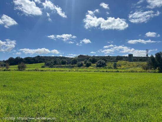 GRAN FINCA RUSTICA CON CASA TIPICA MALLORQUINA, CON LUZ Y AGUA - BALEARES