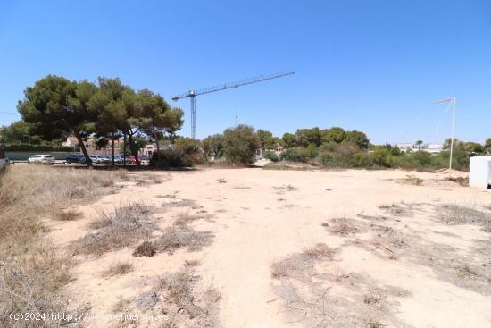 PARCELAS PARA CONSTRUIR EN LOMAS DE DON JUAN. 1150 M2 DE SUPERFICIE. - ALICANTE