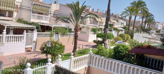 ADOSADO EN GRAN ALACANT DISPONIBLE - ALICANTE