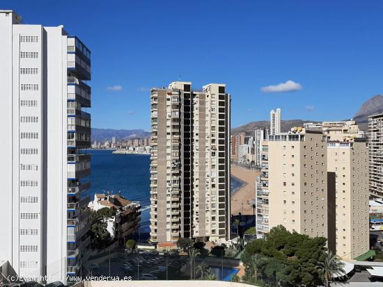 Estudio con vistas al mar en la zona de la Sierra Helada www.inmobiliarialesdunes.com - ALICANTE