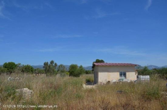 CASITA CON TERRENO EN CONSELL - BALEARES