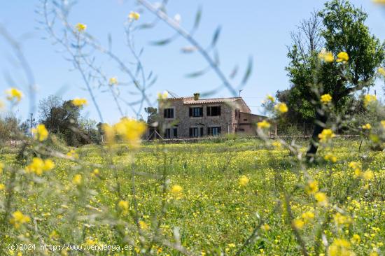 Magnífica Eco-casa de campo a las afueras de Sineu - BALEARES