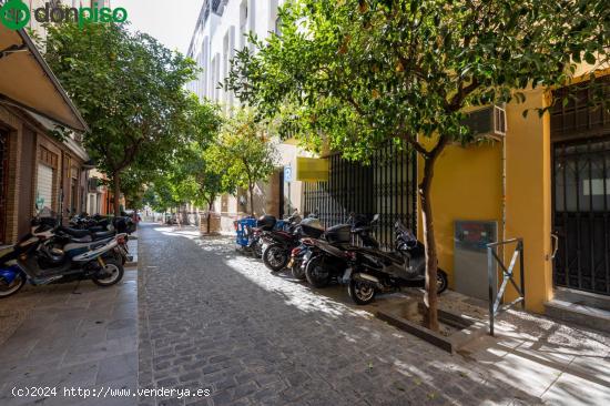 LOCAL COMERCIAL de 210 EN GRANADA. - GRANADA