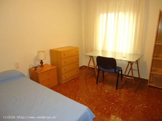 Habitación en piso compartido en Córdoba - CORDOBA