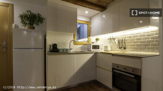 Apartamento entero de 1 dormitorio en Barcelona - BARCELONA