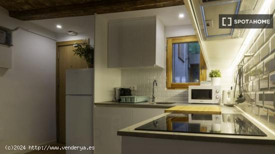 Apartamento entero de 1 dormitorio en Barcelona - BARCELONA