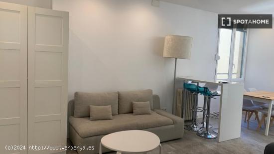 Apartamento entero de 1 habitaciones en Madrid - MADRID