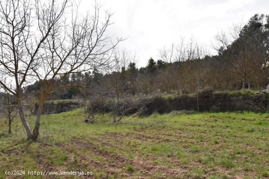 Se Vende en Arens de Lledo - TERUEL