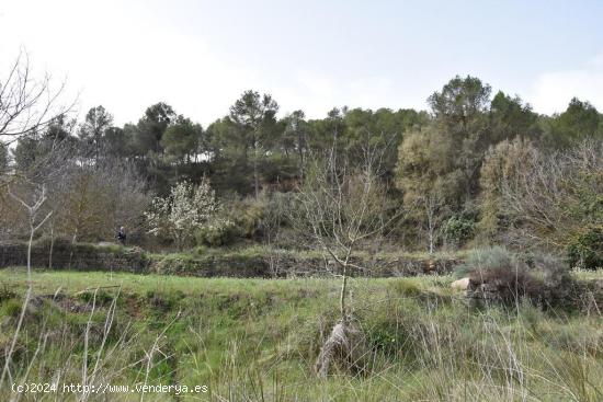 Se Vende en Arens de Lledo - TERUEL