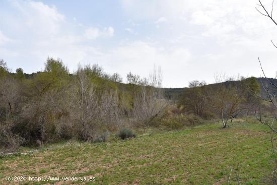 Se Vende en Arens de Lledo - TERUEL