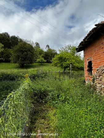 Oportunidad de Casa con cuadra y finca para reforma total - ASTURIAS