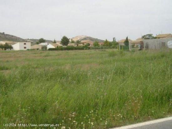 MARAVILLOSAS PARCELAS RUSTICAS. - MURCIA