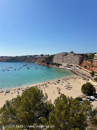 Alquiler piso en playa del Toro - BALEARES