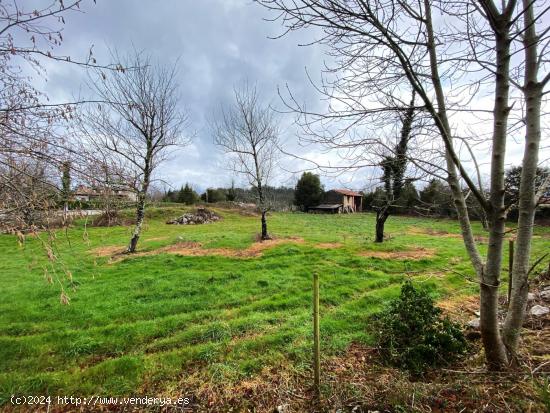 FINCA EDIFICABLE A 4 KM DE LA PLAYA - ASTURIAS