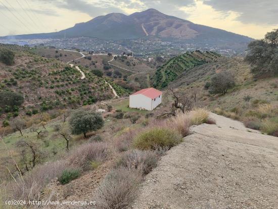  Finca rústica en Alhaurin el Grande - MALAGA 