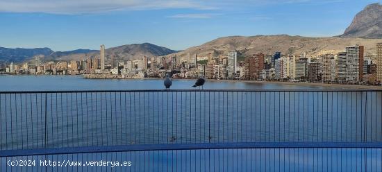 Se Vende en Benidorm - ALICANTE