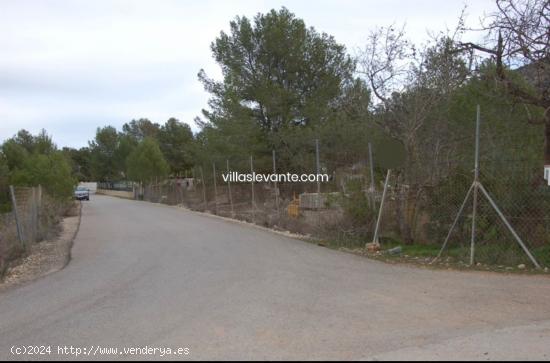  TERRENO RUSTICO ALFAZ DEL PI - ALICANTE 